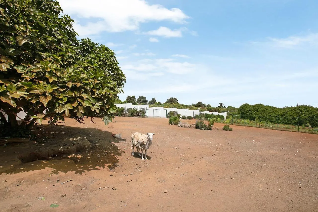 וילה הוילה טקורונטה Finca Ecologica Laurisilva ספרד